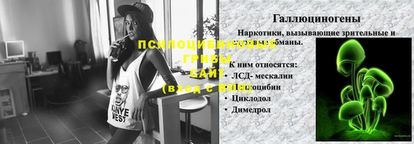 ПСИЛОЦИБИНОВЫЕ ГРИБЫ Абаза
