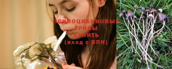 ПСИЛОЦИБИНОВЫЕ ГРИБЫ Абаза