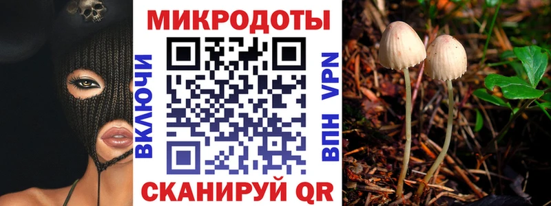 Псилоцибиновые грибы мицелий  Мыски 
